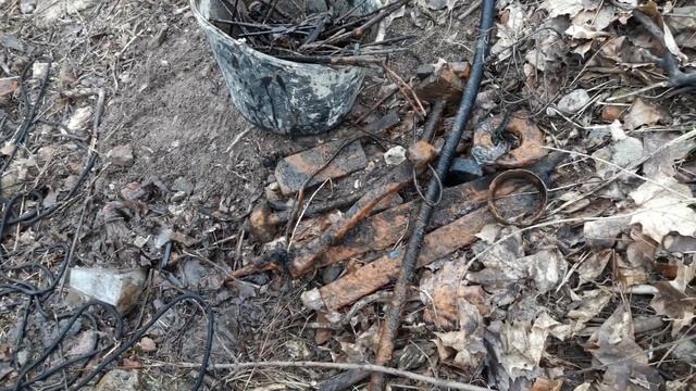 Нашел золотую карту