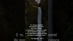 мальчик из Таиланда. Нонг Ван Сухайми. 10 лет. красиво читает суру Комнаты (аль-Худжурат)