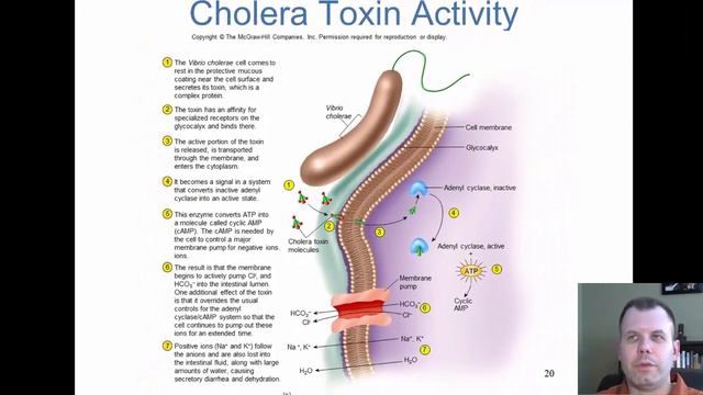 Unit 5. Chapter 21 - Irregularly Shaped Bacteria of Medical Importance