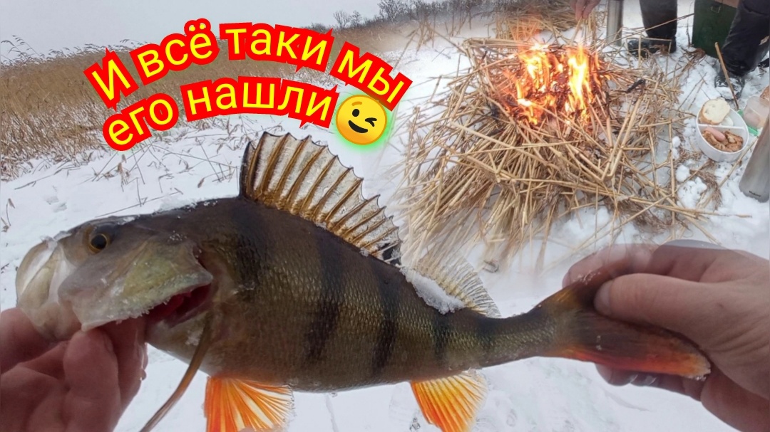 Рыбалка на Свири. В поисках окуня.Две блесны сделали РЫБАЛКУ