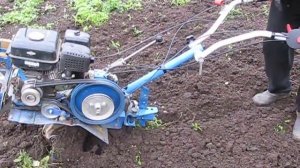 Могут ли фрезы Целина заменить вспашку плугом