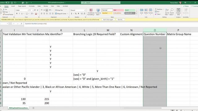 Data Dictionary File смотреть онлайн
