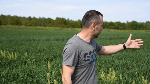 ЛИНТУР®, Полевой город Липецк смотреть онлайн