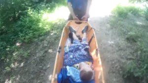 В Сочи трехлетний мальчик сломал руку в Тисо-самшитовой роще