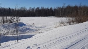 Lynx Ranger 49 600 ACE мартовский прокат