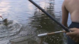 Рыбалка на толстолоба в краснодарском крае