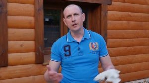 Как правильно солить воблу
