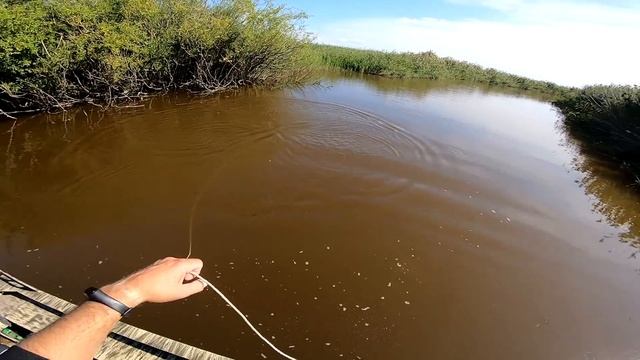 Нахлопали 100кг рыбы и домой! Рыбалка 2021 с лодки Кастинговая сеть американка в деле Рыбалка 2021 смотреть онлайн