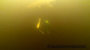 Fishing wt lures: pike attack Pig Shad Jr softbait underwater. Рыбалка щука на силикон атака.