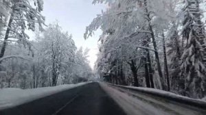 Car travel inside Russia 2024/Путешествие на машине по Ленинградской области