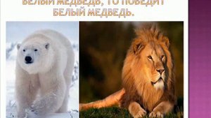 Интересные факты о животных