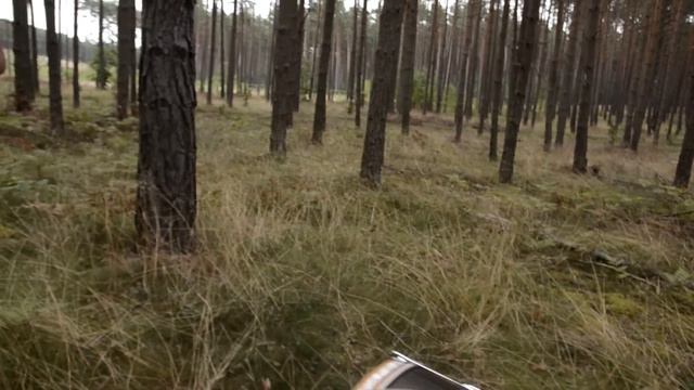 Опять круто спел)