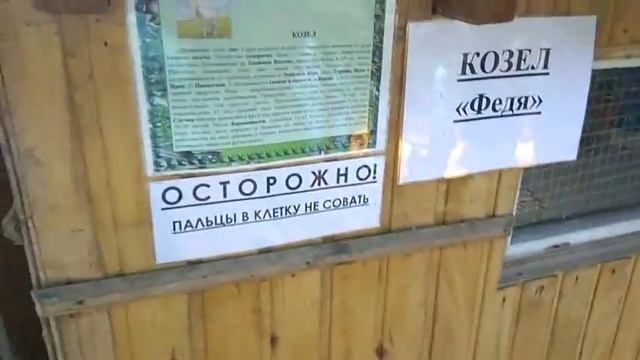 Куда сходить с ребенком в Йошкар-Оле: Медведевский мини зоопарк "Чудо остров" смотреть онлайн