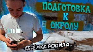 ПОДГОТОВКА К ОКРОЛУ_СЕРЕЖКА РОДИЛА_ЖДЕМ ОКРОЛОВ И ТЕПЛА (720p)