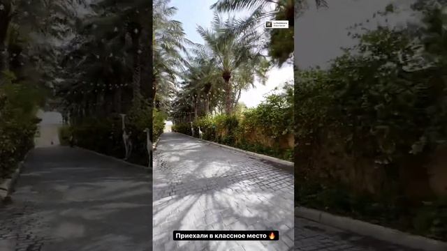 МОЖЕТЕ ПОЗДРАВИТЬ ИРУ ?❤️ ИРИНА ПИНЧУК И АРАЙ ЧОБОНЯН