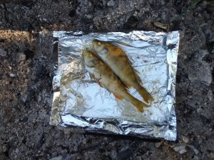 Окуни зажаренные на пищевой фольге
