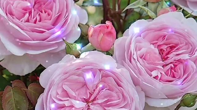 открытки# под ваш текст и дальнейшего использования смотреть онлайн