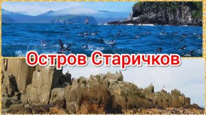 Остров Старичков. Короткая зарисовка