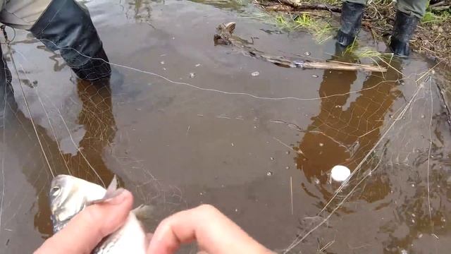 РЫБЫ ПРОСТО ВАЛОМ! РЫБАЛКА НА ХАПУГУ ХЛОПОК! смотреть онлайн