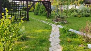ЧТО ТАКОЕ МАЛОУХОДНЫЙ САД/ПРОГУЛКА ПО САДУ/НЕМНОГО ПСИХОЛОГИИ