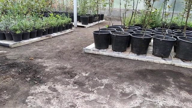 Какие планы на СЕЗОН 2022? Перестройка в теплице! смотреть онлайн