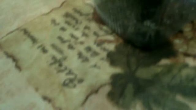 Такое ужасное чувство когда паук линяет тоесть он смотреть онлайн