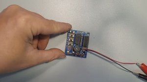 Китайская пищалка.