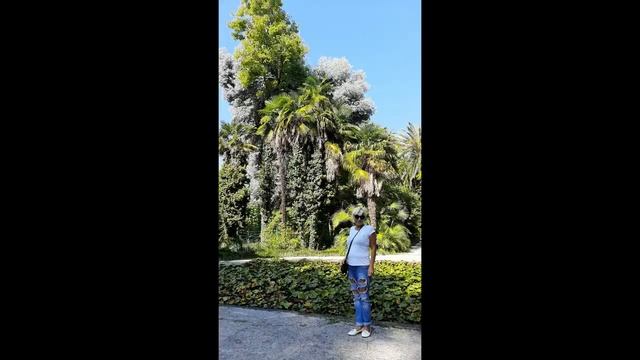 Эволюция абхазского флага. Абхазский гимн текст. Гимн абхазии текст. Гим абхази. Стихотворение на абхазском.