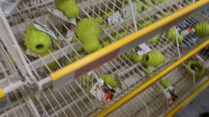 Лежанки и игрушки для собак. Как выбрать?