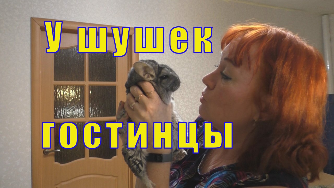 ГОСТИНЦЫ ОТ ШИНШИЛЛЫ КОТОРОЙ УЖЕ НЕТ