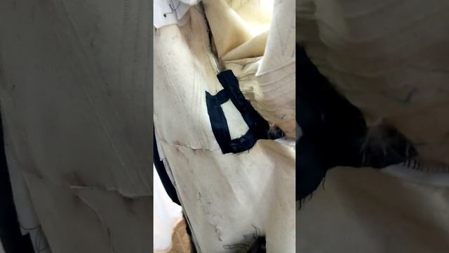 Как может испортиться норковая шуба от пота. смотреть онлайн