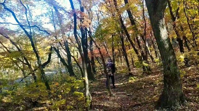 Осень-осень... смотреть онлайн