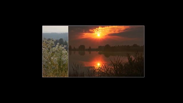 Гуси лебеди летели ...  Трогательная песня.#Душевныепесни#