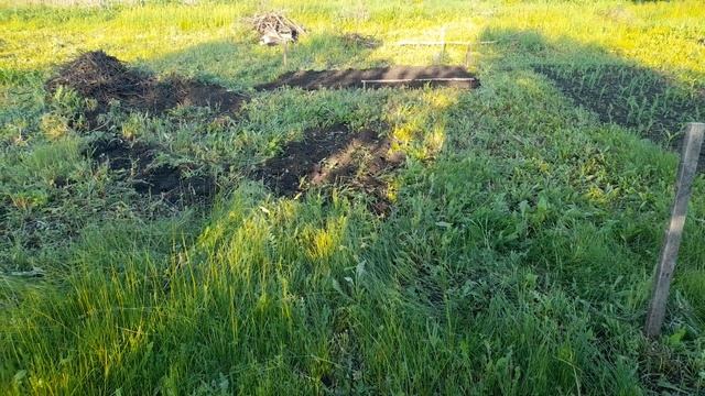 Снова лето. Отчет за день. смотреть онлайн