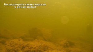 РЫБАЛКА  с ночевкой Река Ай. Южный Урал (история одного переката).mp4