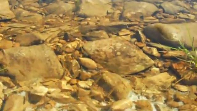 Река Амга. Верхняя Амга. Якутия. ДАЛЬНЯЯ ПРАКТИКА. 2010 г. смотреть онлайн