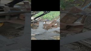 окучивание картофеля