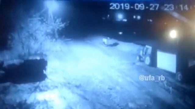 В Башкирии дикий зверь напал на домашних животных смотреть онлайн