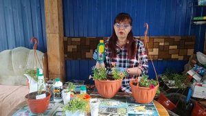 КАЛИБРАХОА ПОСАДКА И УХОД (Ч.2)