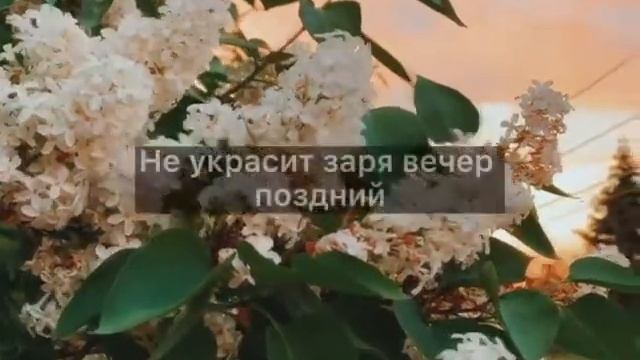 Грустный стих. Светлая грусть.