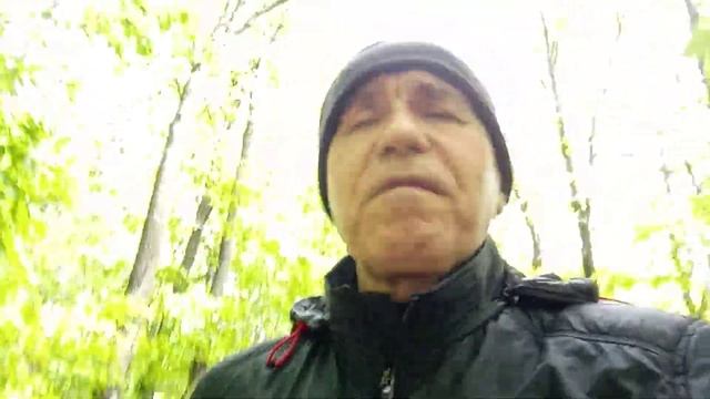 Абсурдный сон: что с ним делать?психолог Рамиль Гарифуллин