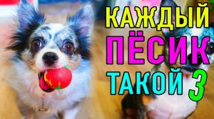 КАЖДЫЙ ПЕСИК ТАКОЙ 3 | ПАРОДИЯ Magic Pets