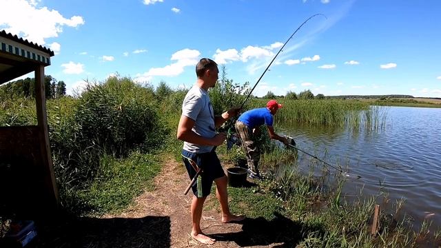 Ловля карпа на фидер!Карп чуть не утащил фидер!Эта рыбалка запомнится надолго,клёв как из пулемёта! смотреть онлайн