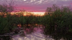 "РИХАРД ШТРАУС В КОРЯЖМЕ"... (Фото Сергея Огаркова (Коряжма), музыка Рихарда Штрауса)