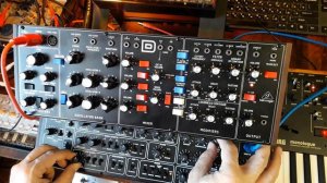 Behringer Model D & Behringer Pro-1_Synth dance