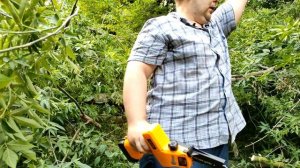 Обзор цепного аккумуляторного сучкореза с Aliexpress