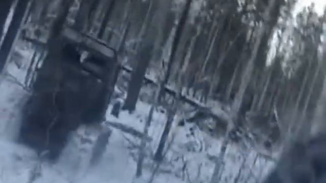 Реальная погоня за лесными ворами в Иркутских лесах смотреть онлайн