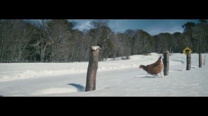 KFC UK Christmas Advert 2018