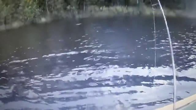 песня -щука- КАРАУЛ ! смотреть онлайн