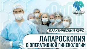 Лапароскопия в оперативной гинекологии. Практический курс в Wet-lab.